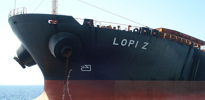 LOPI-Z